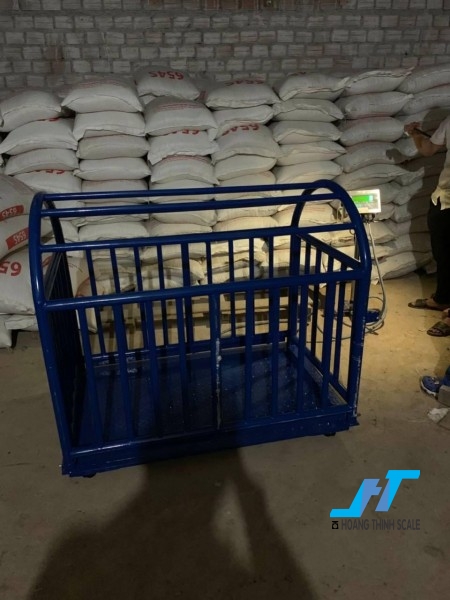 Cân sàn heo điện tử 1 tấn là loại cân chuyên dùng cho cân các loại động vật, gia súc, được thiết kế chuẩn lồng cho CÂN HEO