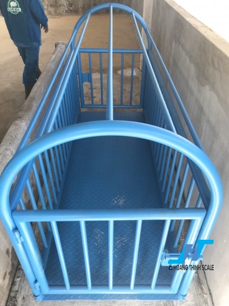 Cân sàn heo điện tử 2 tấn là loại cân chuyên dùng cho cân các loại động vật, gia súc, được thiết kế chuẩn lồng cho CÂN HEO