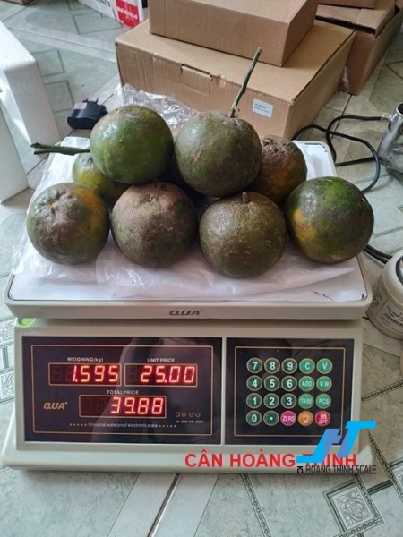 cân điện tử tính tiền qua 30kg