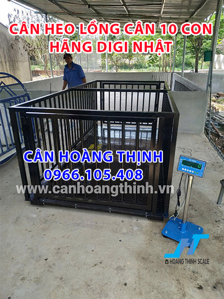 Cân heo lồng cân 10 con hãng DIGI Nhật