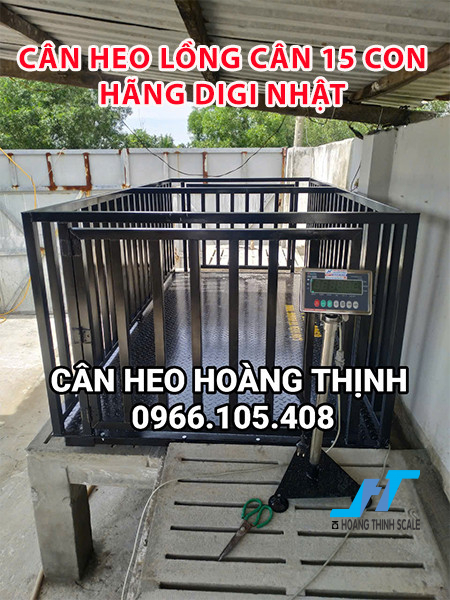 Cân heo lồng cân 15 con hãng DIGI Nhật